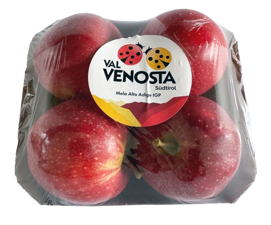 Venosta Gala Epli Pökkuð