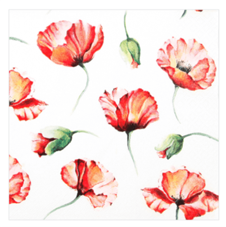Servíettur Poppy drawing 33×33 (12)