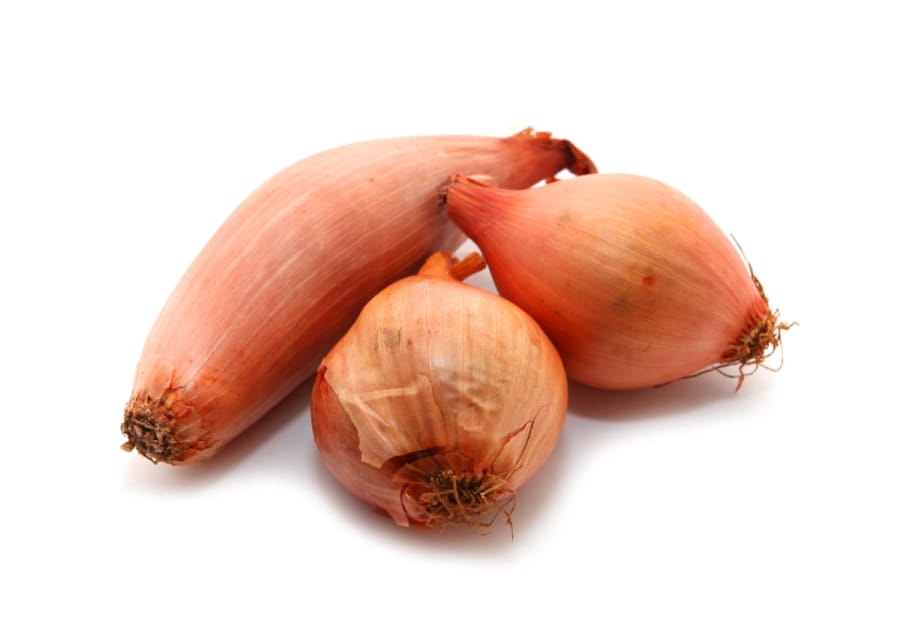 Shallotlaukur