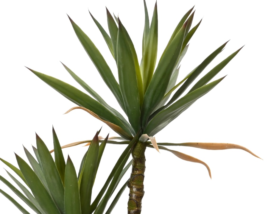 Sisal planta 60x125cm. (4)