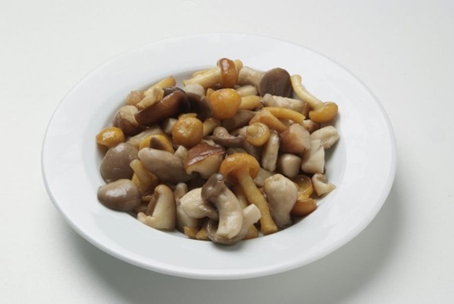 Skógarsveppablanda 600g