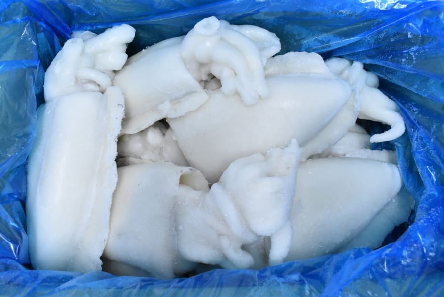 Smokkfiskur Heill U1 - (BF:28.08.2025)