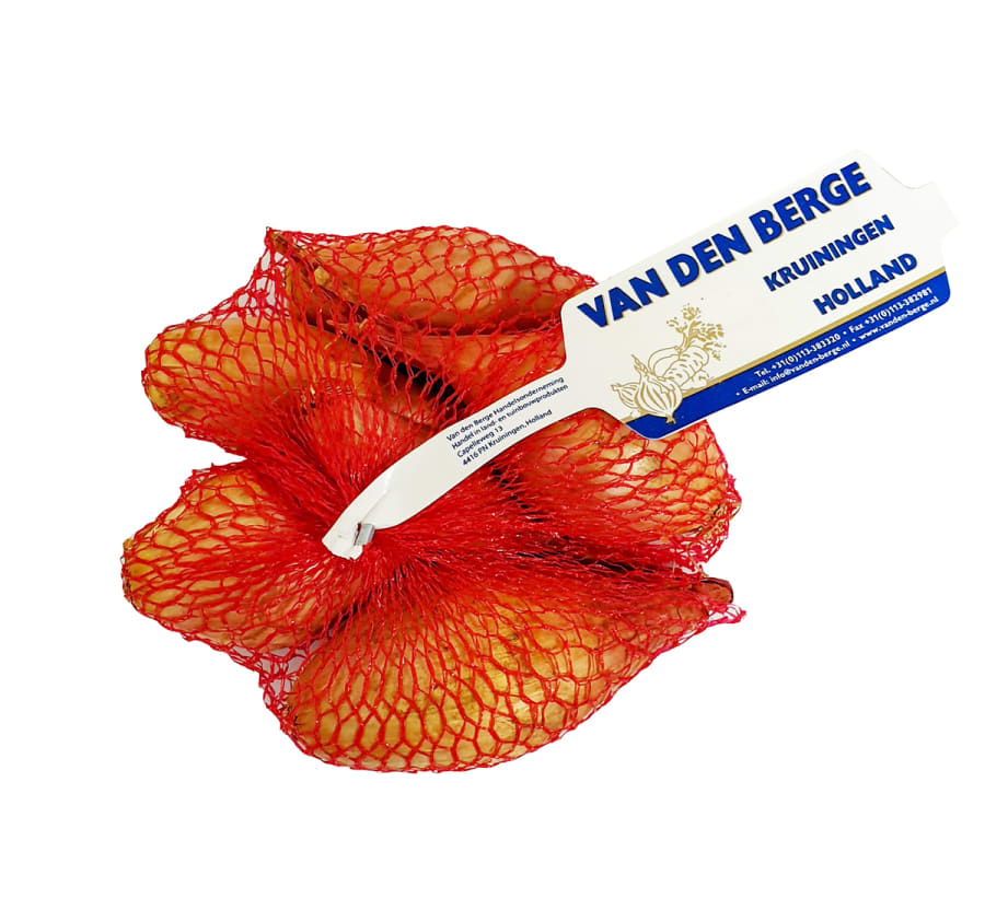 Shallotlaukur Pakkaður