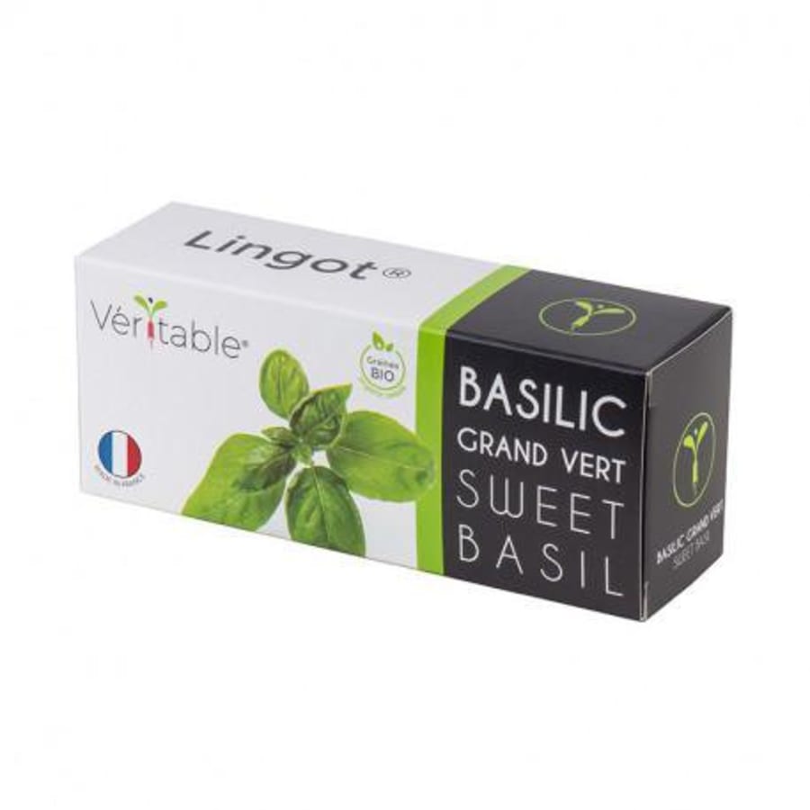 Véritable Sæt basilíka Lingot lífrænt