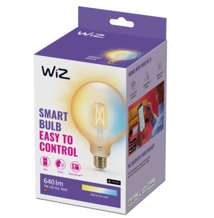 WIZ Globe G120 50w E27 amb