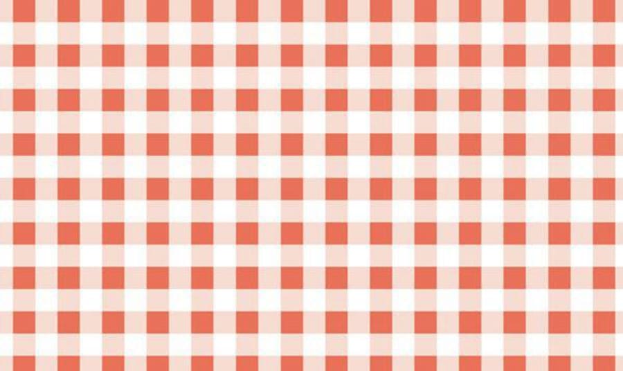 APS Einnota pappír fyrir mat köflótt red