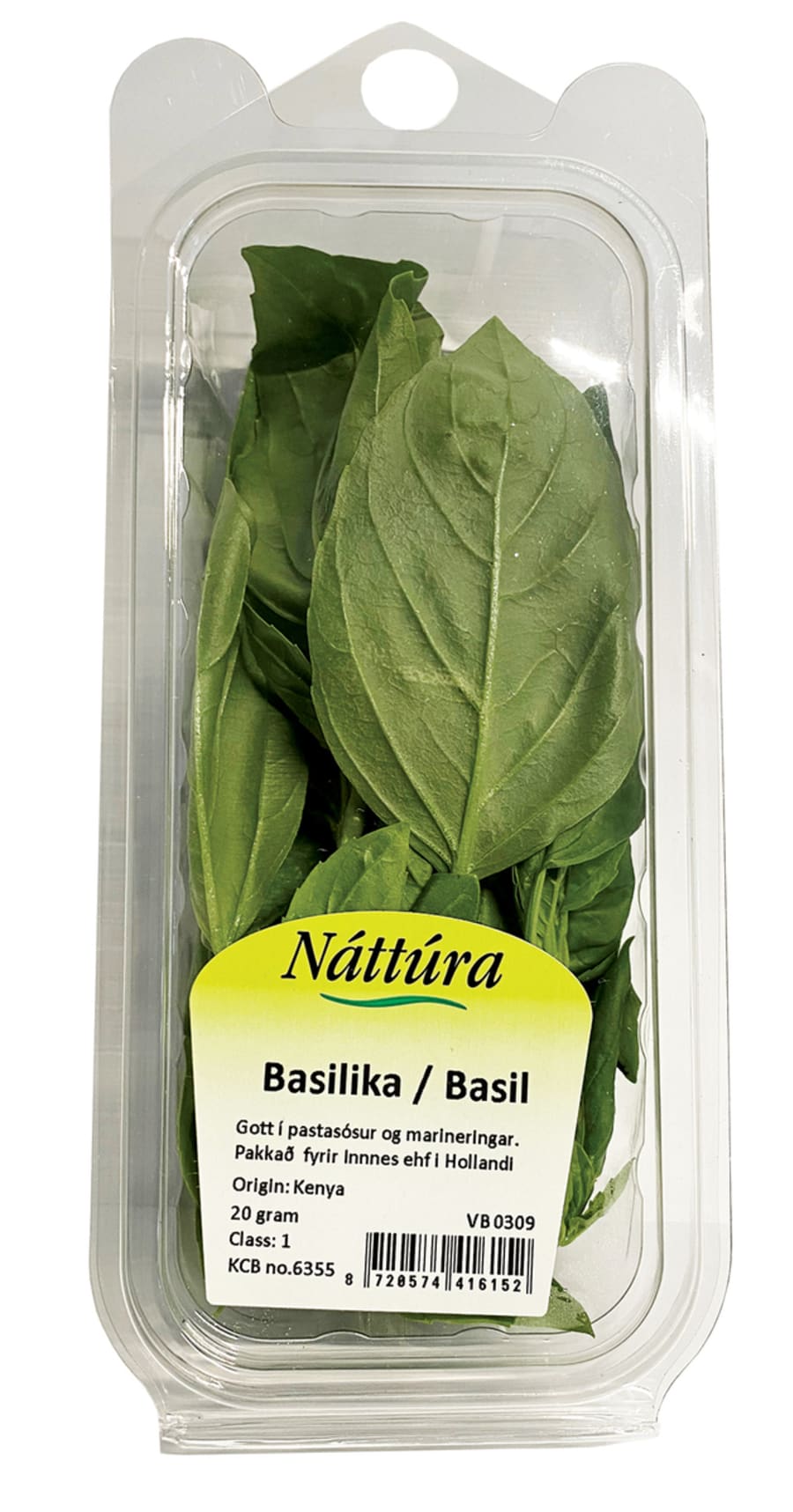 Basil