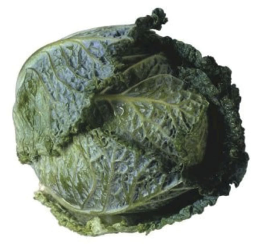 Blöðrukál