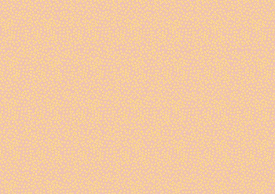 Braun Company Gjafapappír 2m x 70cm Minidots blush