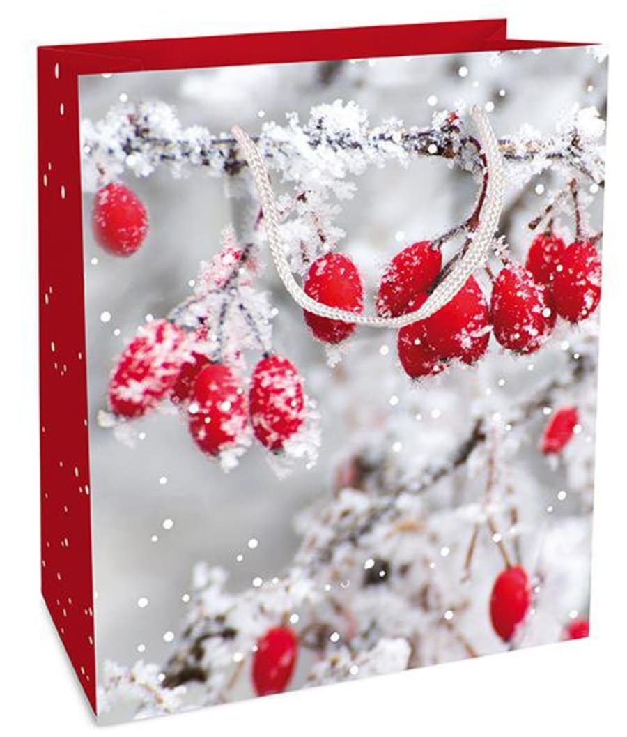 Braun Company Gjafapoki 18x21x8 Frosted Berries