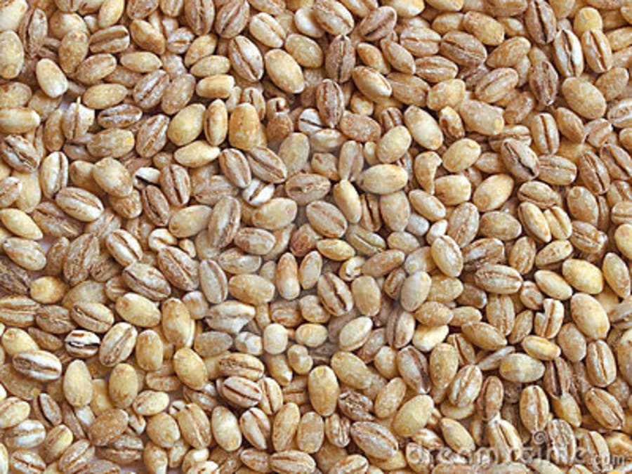 Bygg ( Barley Grain Pearl) 25kg