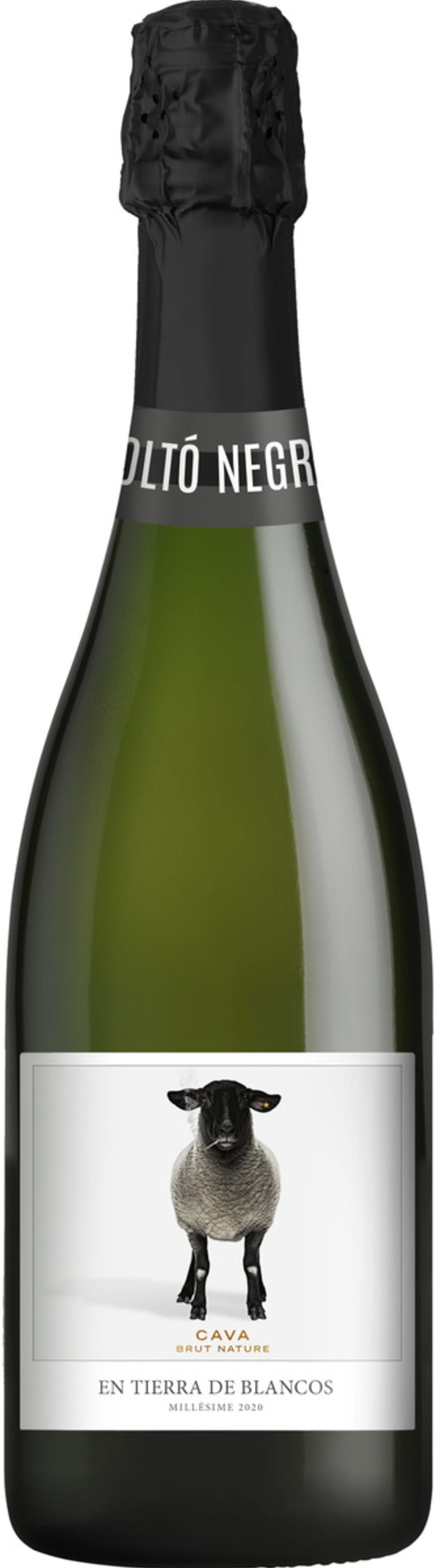 Casa Rojo - Moltó Negre Cava