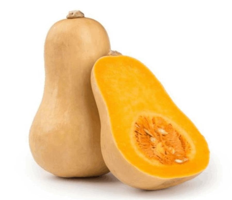 Grasker butternut spánn