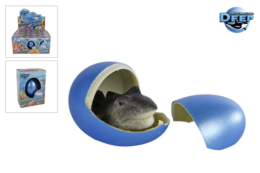 Growing Egg m/Hákarl Disp-12