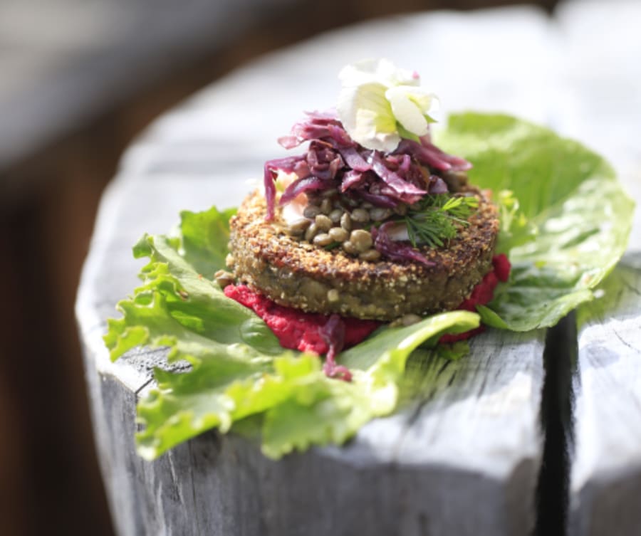 Hnetusteik Vegan Móðir Jörð 42x65g