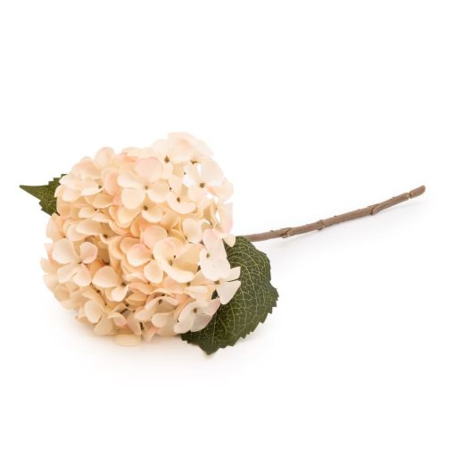 Hortensía Cream 46cm. (10)