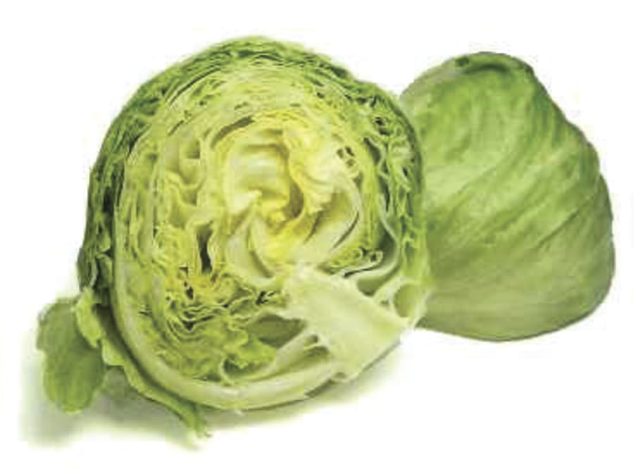 Iceberg