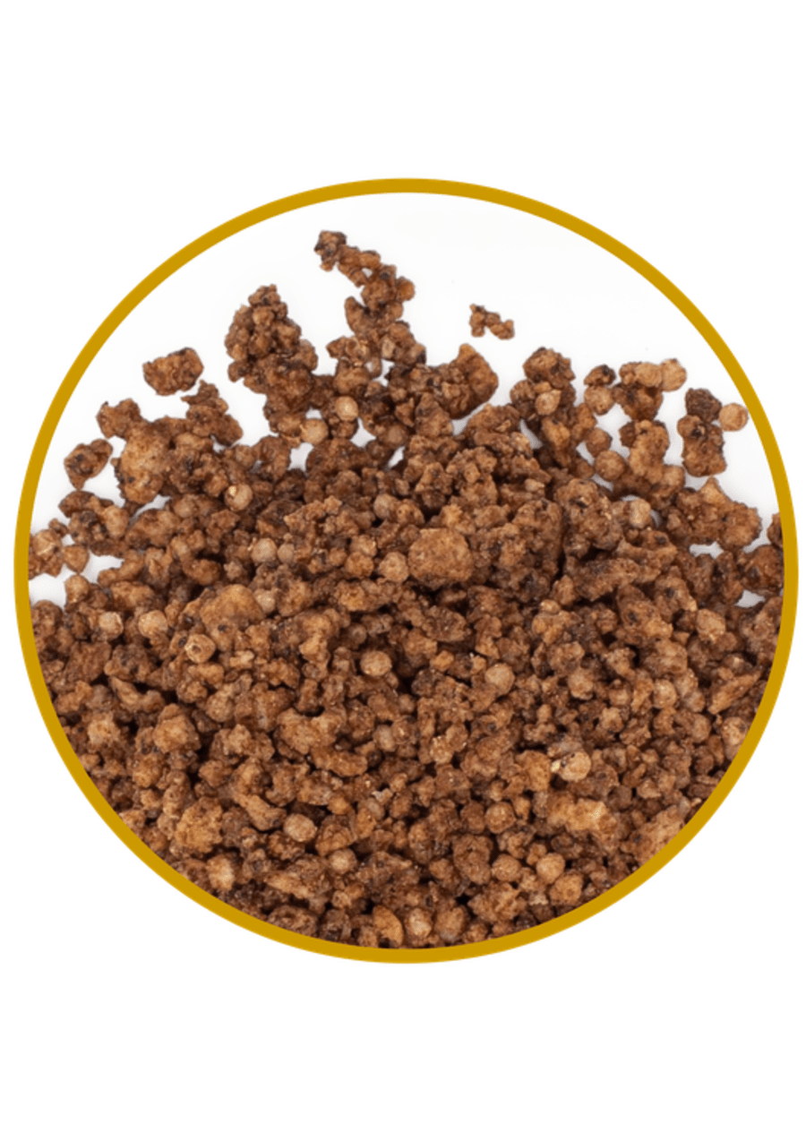 Jorda Espresso Crunch 400g