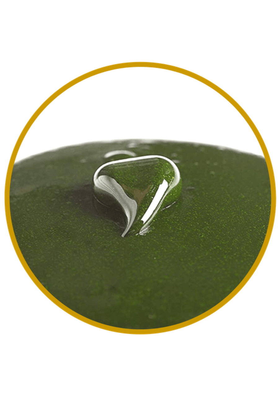 Jorda North Sea plankton emulsion 140gr