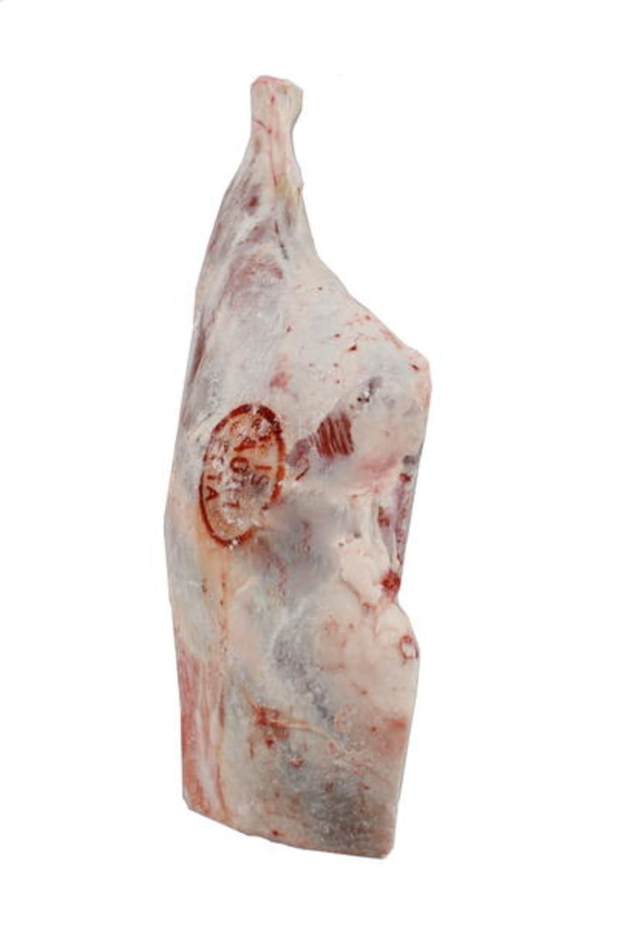 Lambalæri 1/1 plp fr