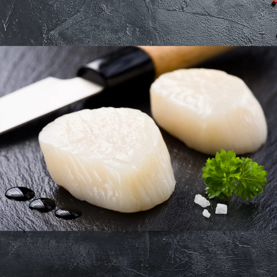 Risa hörpuskel 10/20 800g (10stk/ks)