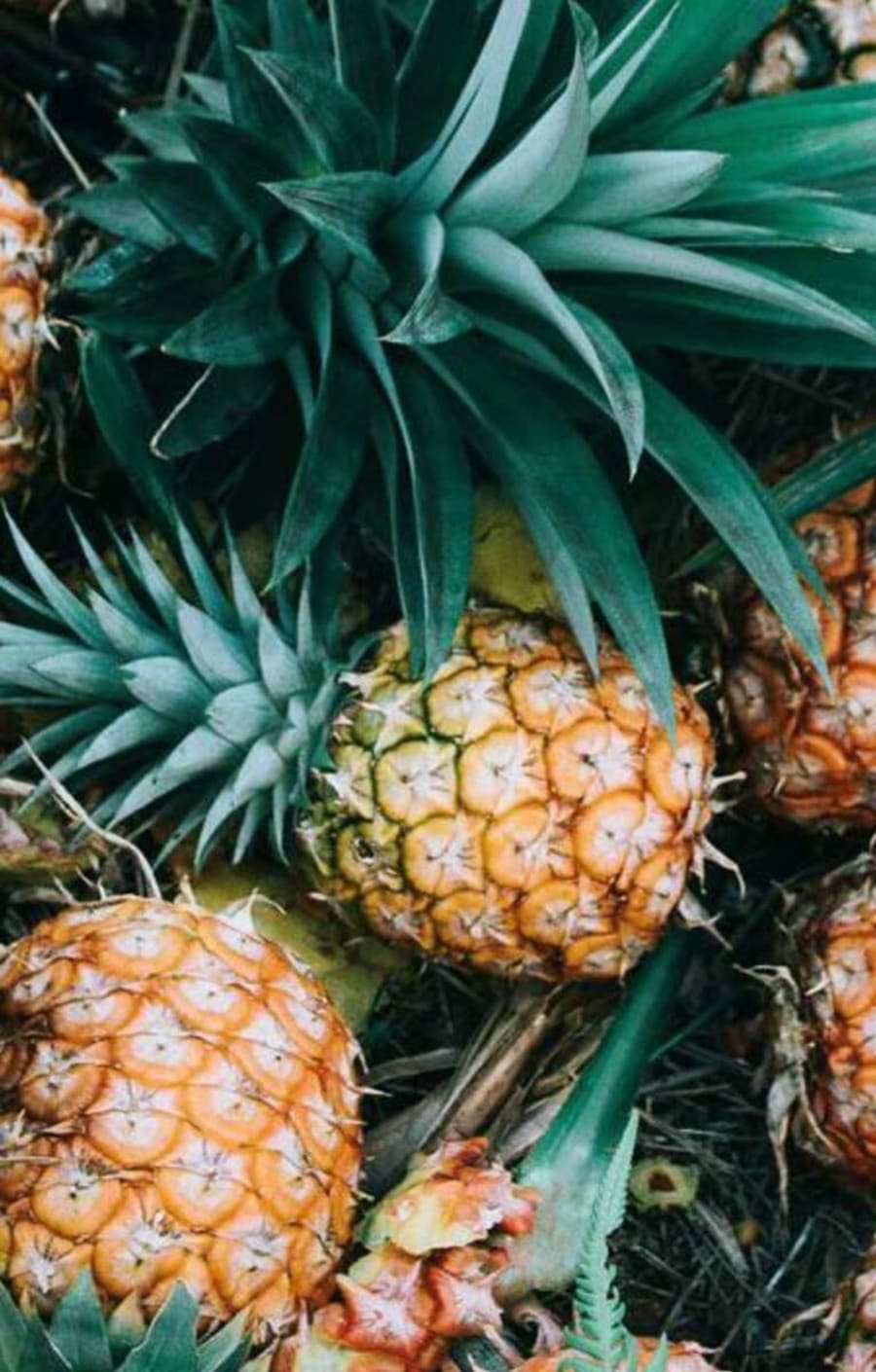 Síróp Ananas / Pineapple Teisseire