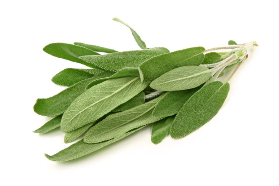 Salvía fersk 50 g/stk