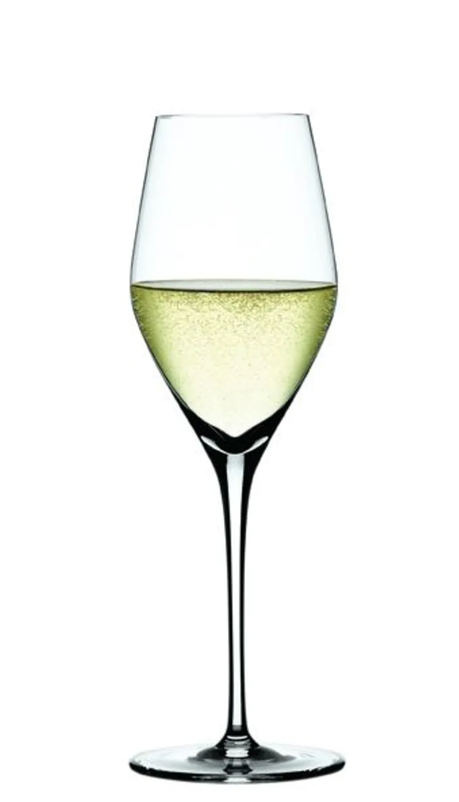 Spiegelau Authentis kampavínsglös  27 cl. - 12 stk.