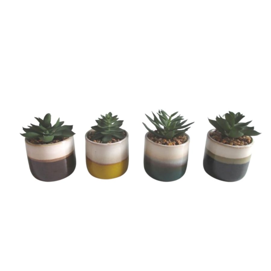 Trendcenter Græn planta í leir potti 6,5x11 blandaðar tegundi