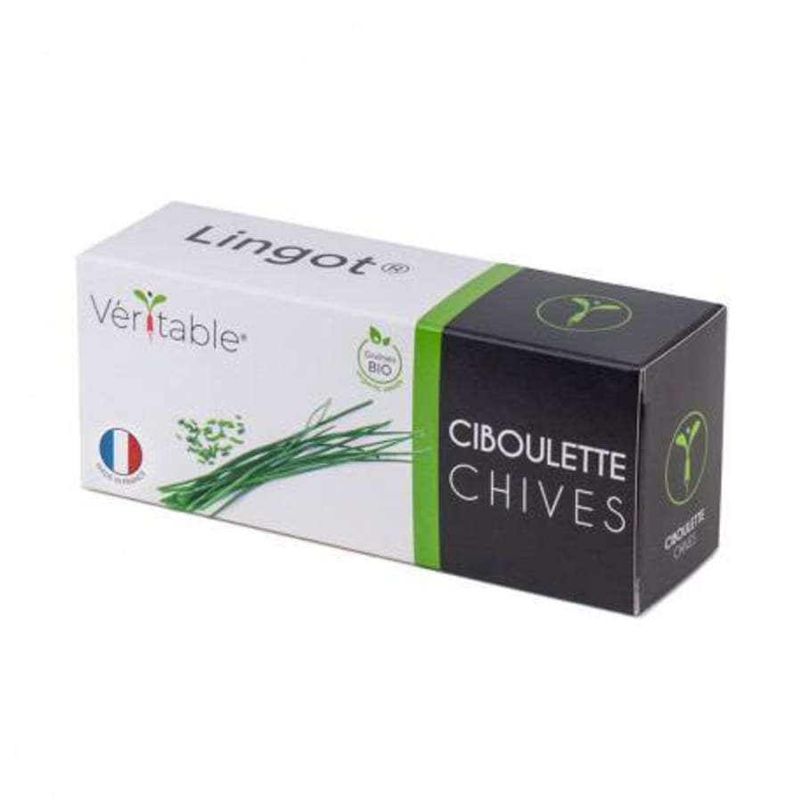 Véritable Graslaukur Lingot lífrænt