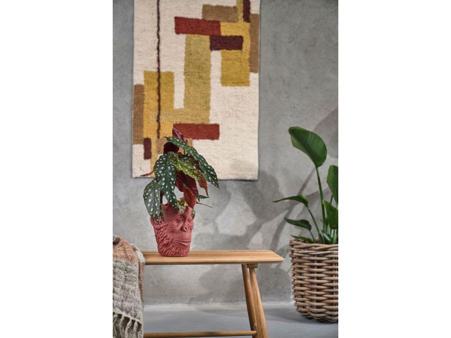 Villa Collection Blómapottur 22cm api höfuð red