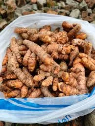 Kunyit/ Kunir