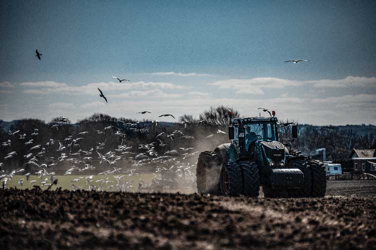 Planting season