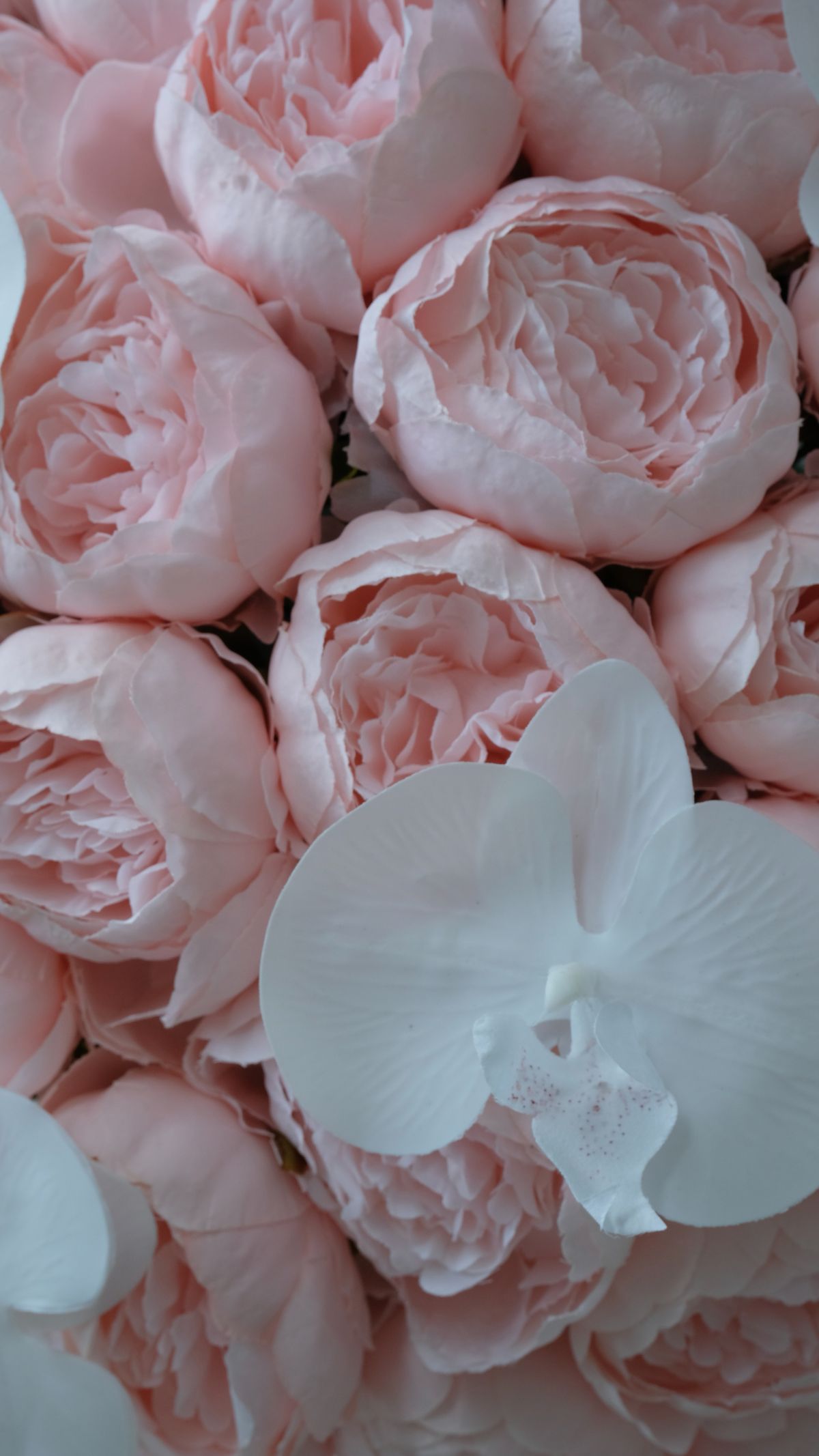 Eternal Peony in Vase 5