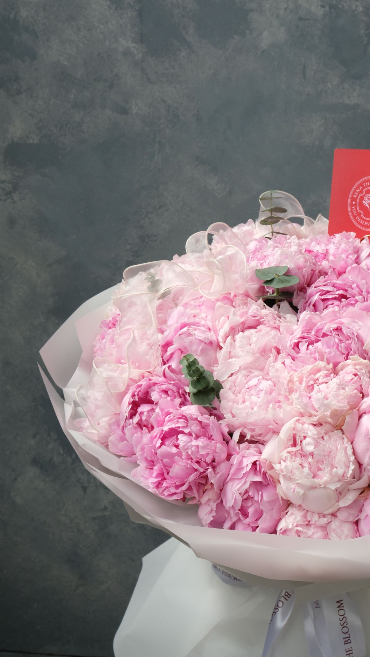 Chelsea's Peony 6