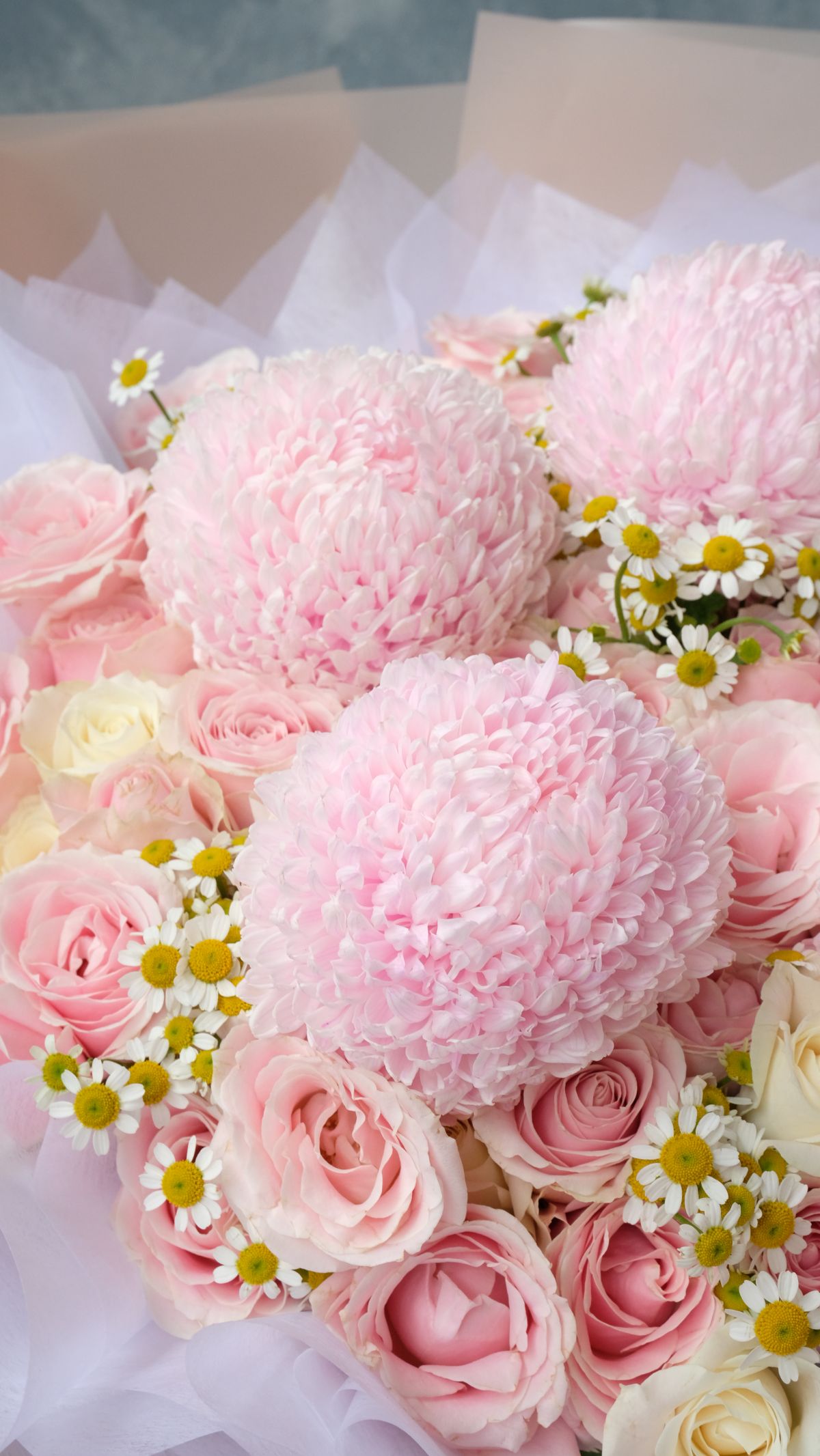 Blush Peony Mum 2