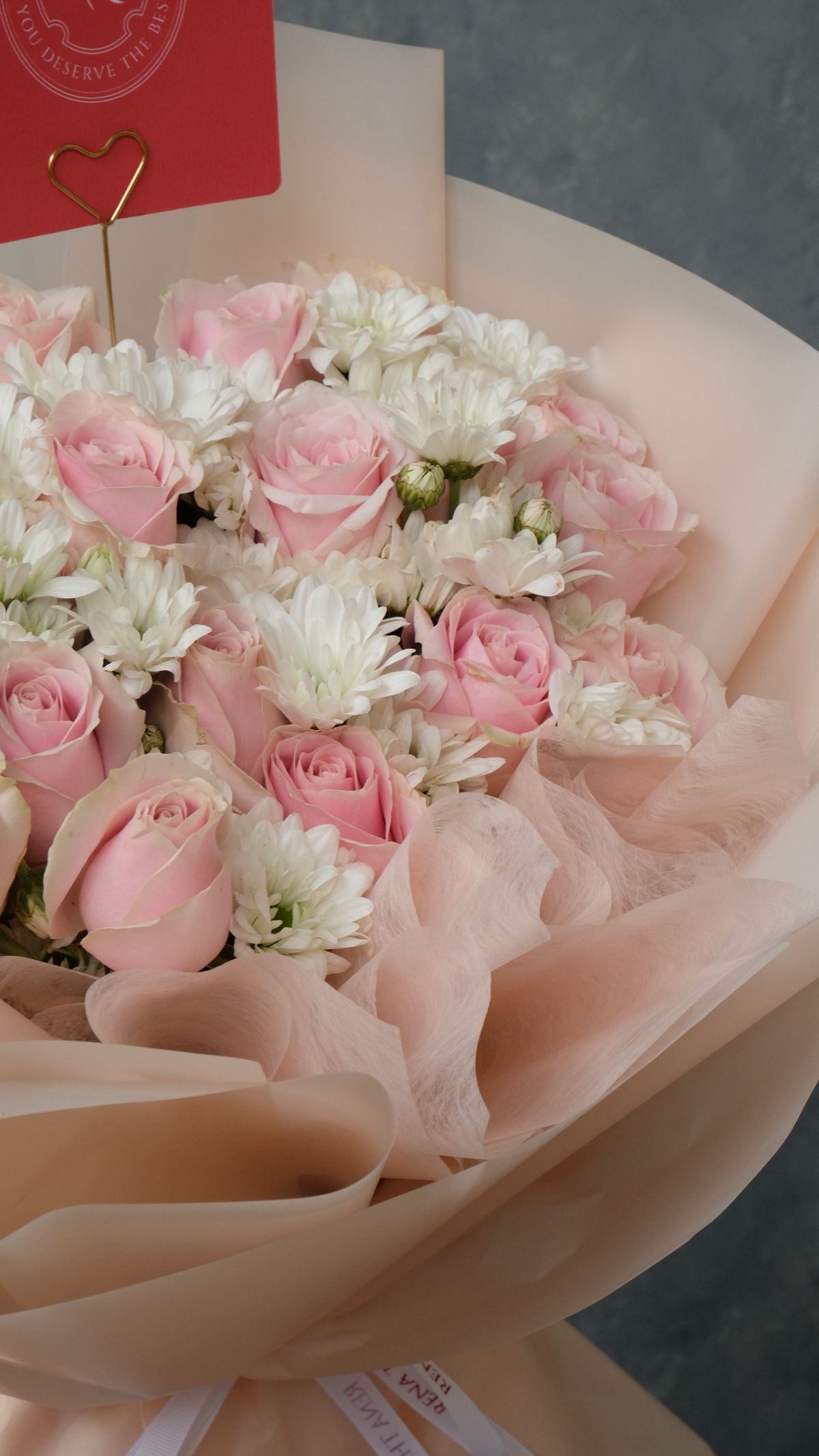 Fresh Pink Rose Aster 3