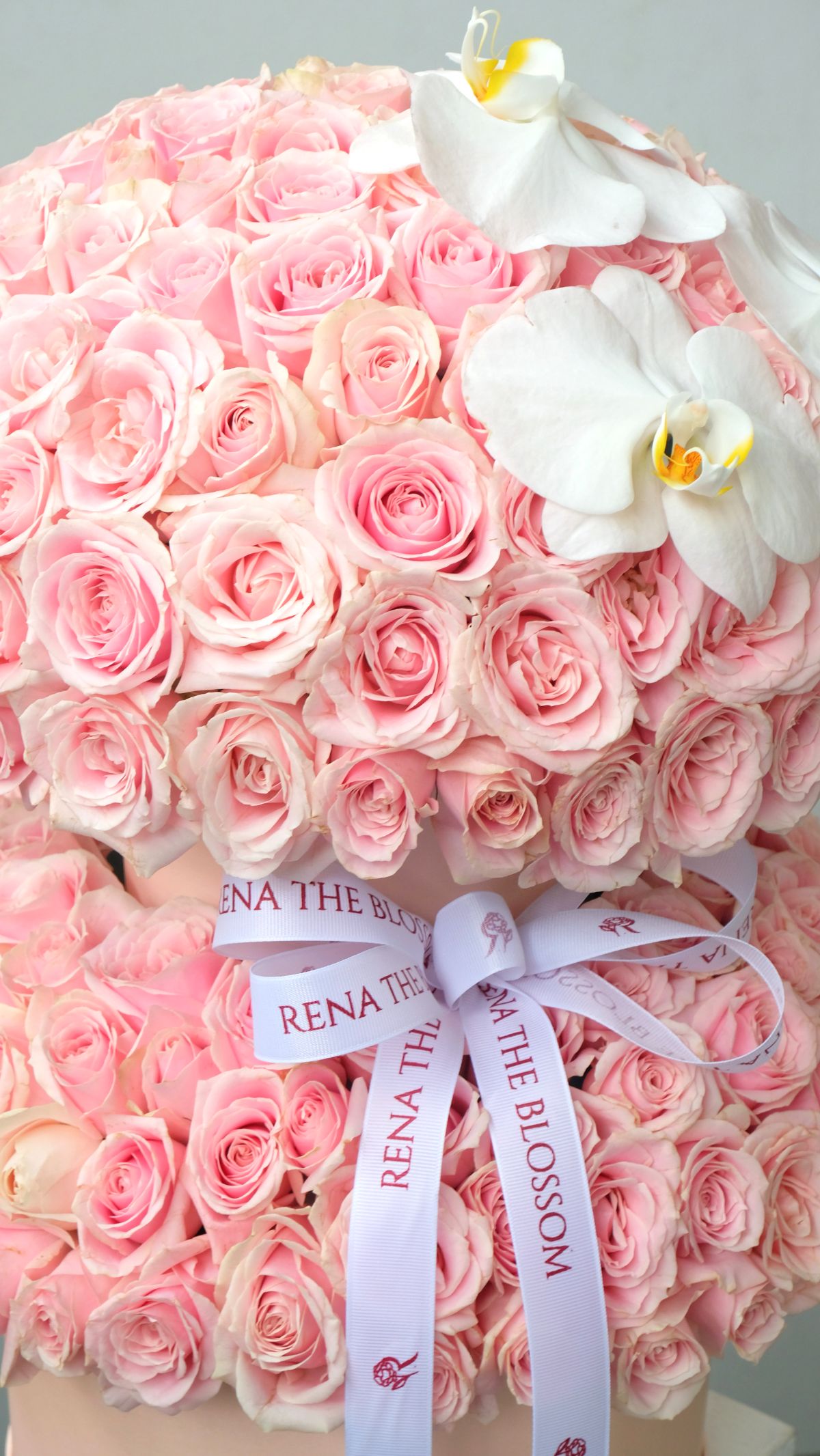 Double Box Happiness 2