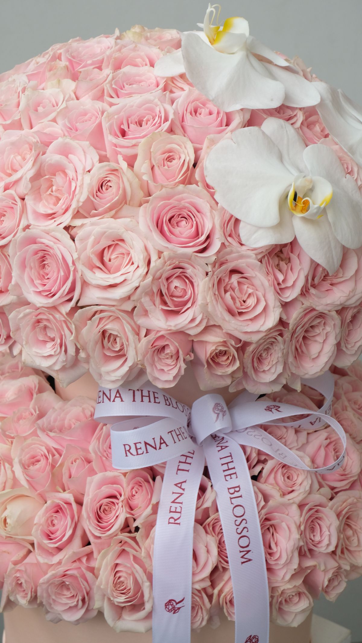 Double Box Happiness 3