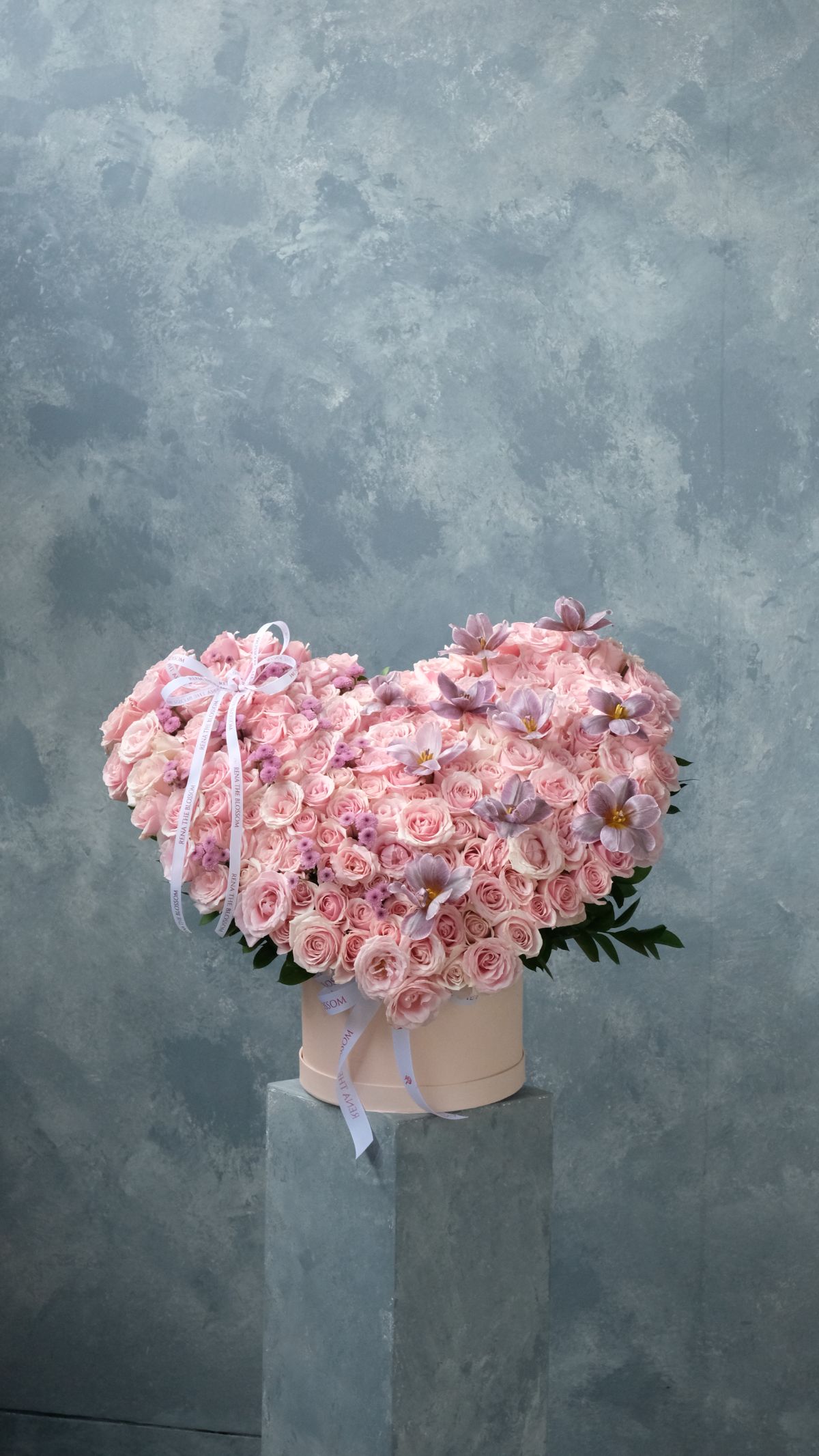 Century Love Bloom 2