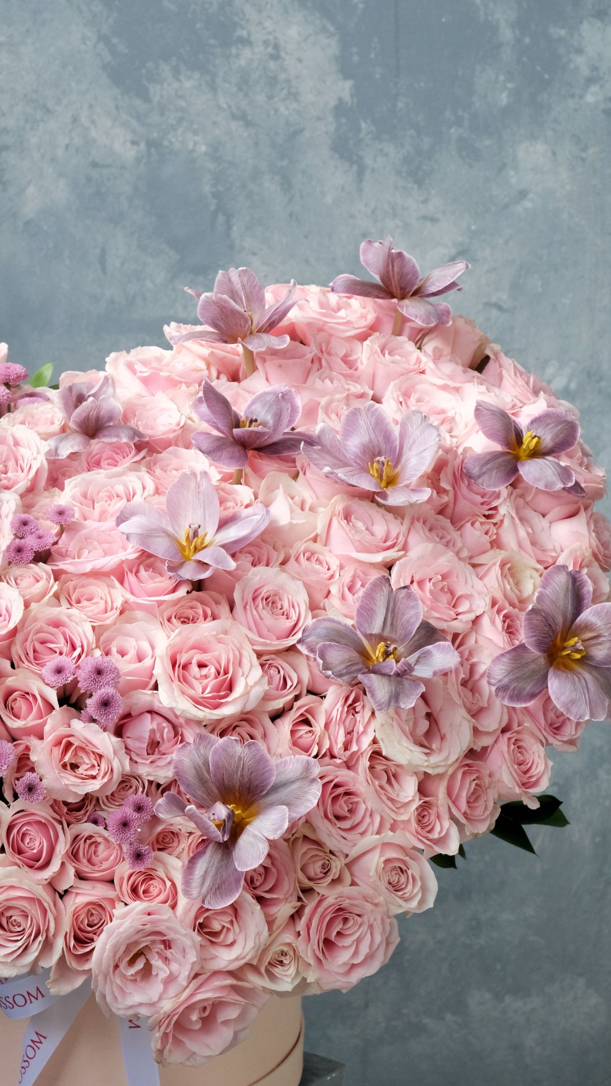 Century Love Bloom 3