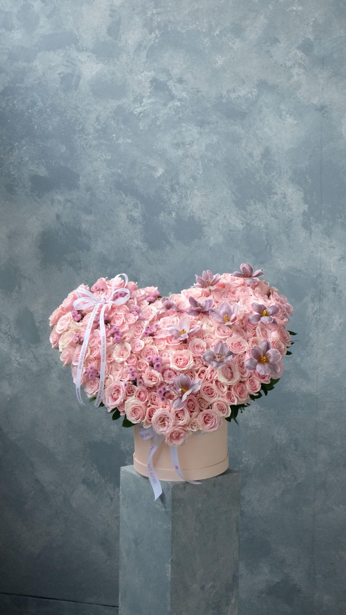 Century Love Bloom 5