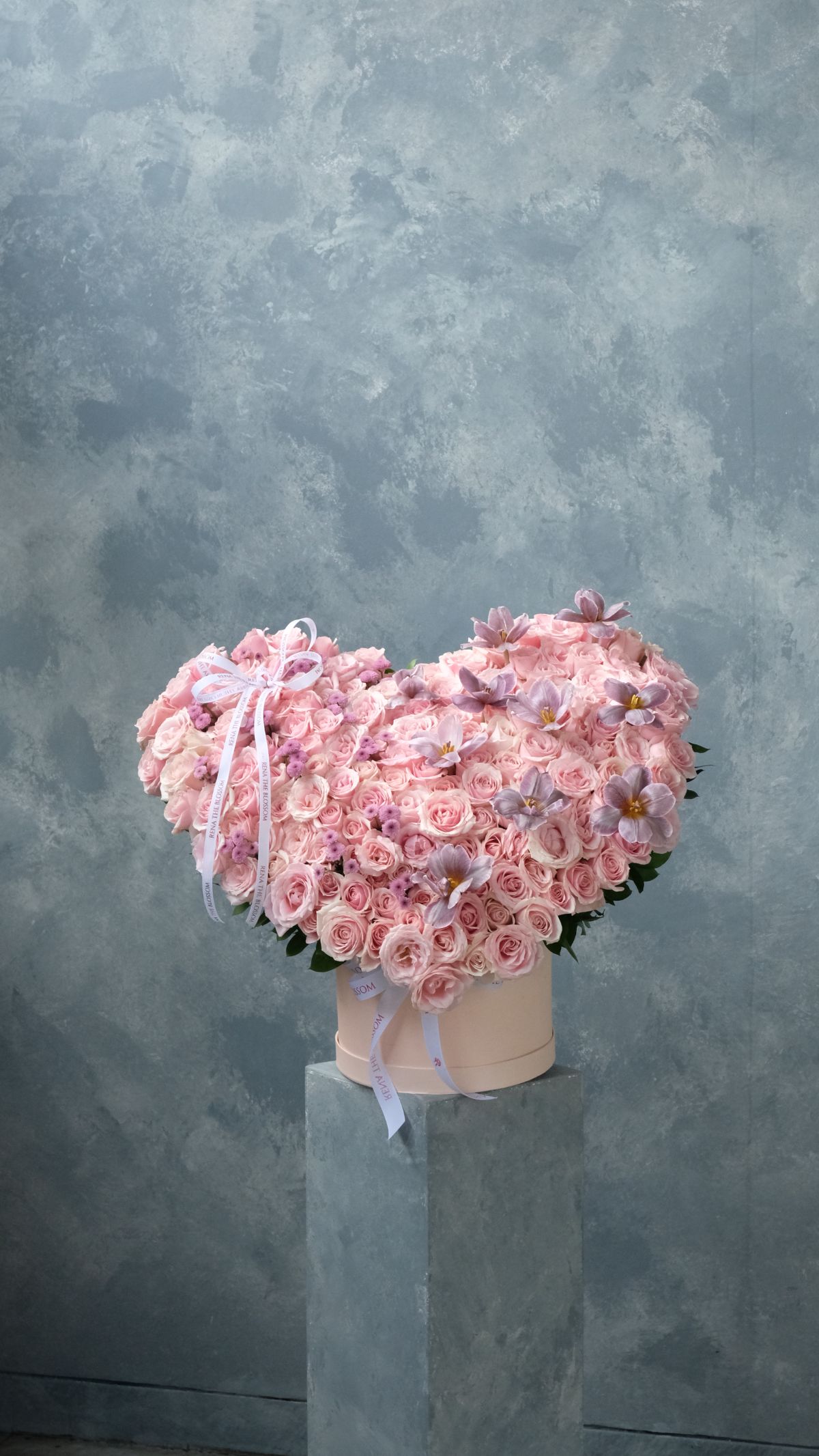 Century Love Bloom 6