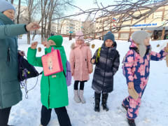 Птичья столовая
