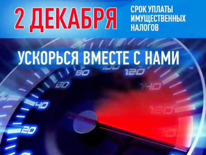 Срок уплаты имущественных налогов истекает сегодня