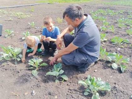 В КуZбассе стартовала программа «Семейное агропредпринимательство»