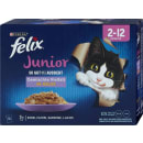 Purina Felix Junior Gemischte Vielfalt in Gelee