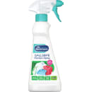 Dr. Beckmann Gallseife Flecken-Spray