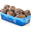 BIO vom BERG Bio Shiitake-Pilze