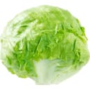 BIO vom BERG Bio Eisbergsalat